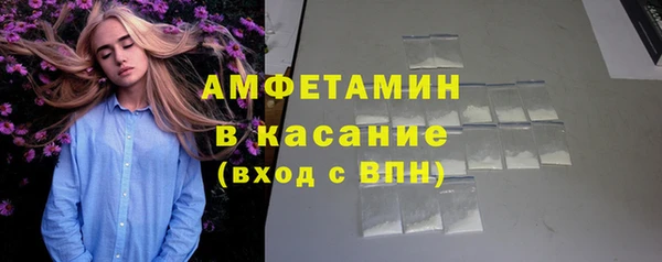 сатива Краснослободск