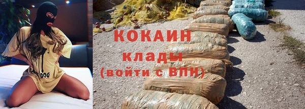 сатива Краснослободск