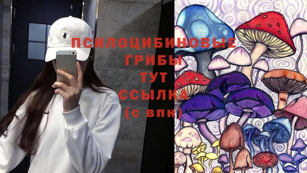 сатива Краснослободск