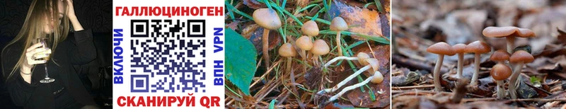 Псилоцибиновые грибы Cubensis  нарко площадка какой сайт  Находка 