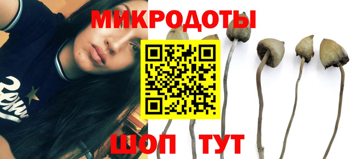 Псилоцибиновые грибы мухоморы  Вход с VPN  Находка 